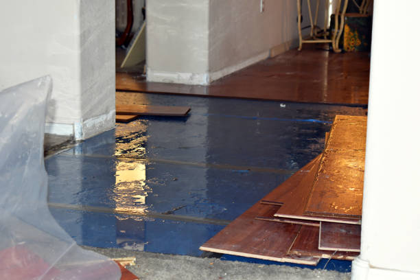 Professional Burst Pipe Cleanup technician working in Hudson, PA